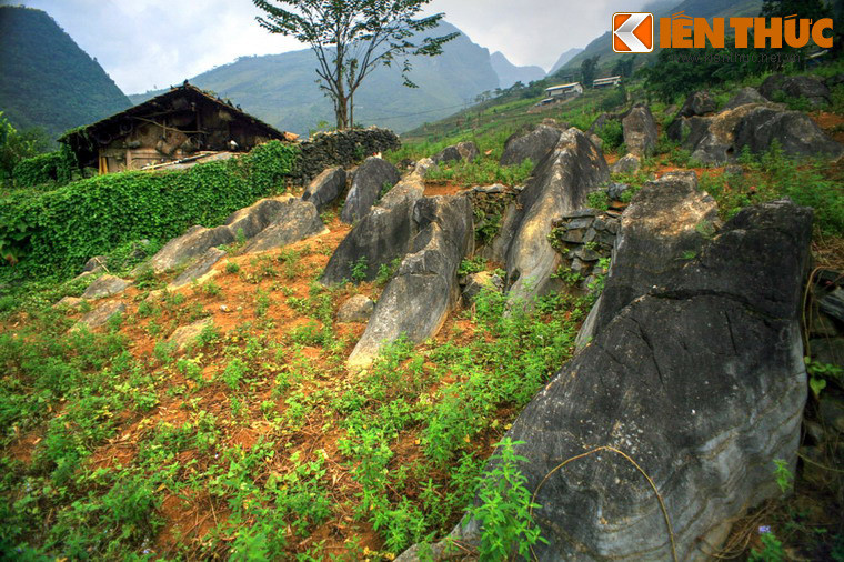 Khác với cảnh tượng "rừng đá" lởm chởm góc cạnh quen thuộc ở cao nguyên đá, những phiến đá ở nơi đây có hình thù thuôn dài, mềm mại như tấm lưng của sư tử biển, nằm san sát và cùng hướng với nhau như một đàn sư tử biển đang tắm nắng.