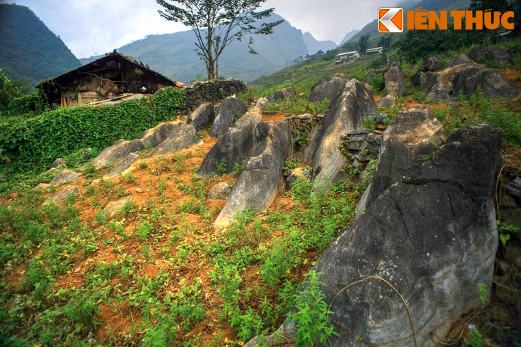 Khác với cảnh tượng "rừng đá" lởm chởm góc cạnh quen thuộc ở cao nguyên đá, những phiến đá ở nơi đây có hình thù thuôn dài, mềm mại như tấm lưng của sư tử biển, nằm san sát và cùng hướng với nhau như một đàn sư tử biển đang tắm nắng.