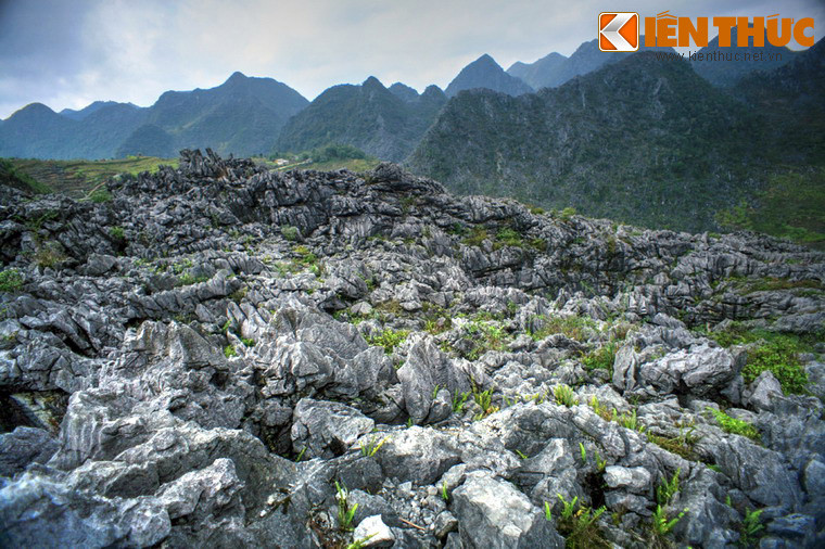 Cảnh quan có một không hai này có thể được quan sát rõ ràng nhất trên cung đường ô tô từ ngã ba Sáng Ngài tới xã Sảng Tủng, trong hành trình từ thị trấn Yên Minh đến thị trấn Đồng Văn. Đây cũng được coi là một cung đường vàng cho những người mê du lịch.