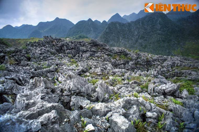 Cảnh quan có một không hai này có thể được quan sát rõ ràng nhất trên cung đường ô tô từ ngã ba Sáng Ngài tới xã Sảng Tủng, trong hành trình từ thị trấn Yên Minh đến thị trấn Đồng Văn. Đây cũng được coi là một cung đường vàng cho những người mê du lịch.