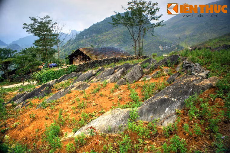 Đặc tính của đá và đặc điểm các lực kiến tạo đã tạo ra một hệ thống khe nứt đẳng hướng, vuông góc với mặt lớp, thúc đẩy quá trình phong hóa, rửa lũa và bóc mòn đá vôi, tạo nên di sản địa mạo đặc sắc này.