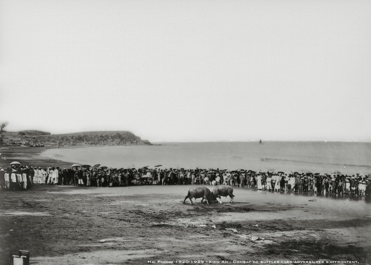 Khung cảnh biển trời nguyên sơ của Đồ Sơn khiến hội chọi trâu năm 1930 càng thêm phần hấp dẫn.