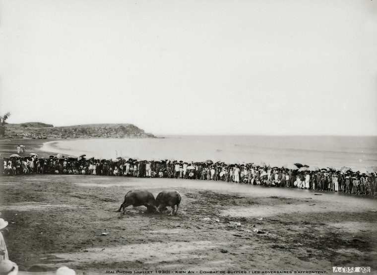 Cuộc chiến diễn ra kịch tính trong sự hồi hộp của những người theo dõi.