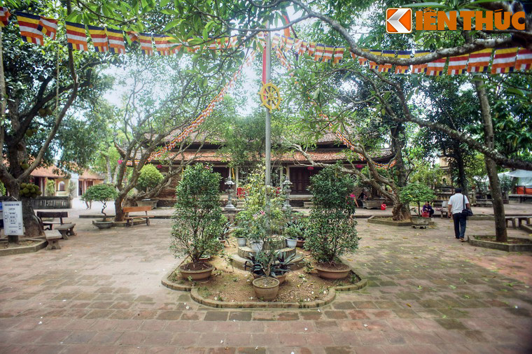 Sau Tam quan thượng, khuôn viên chùa hiện ra với không gian thoáng đãng, rợp bóng cây xanh.