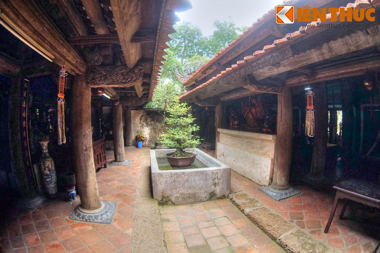 Các tòa nhà được ngăn cách bởi khoảng sân trời thoáng đãng.