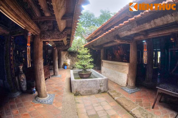 Các tòa nhà được ngăn cách bởi khoảng sân trời thoáng đãng.