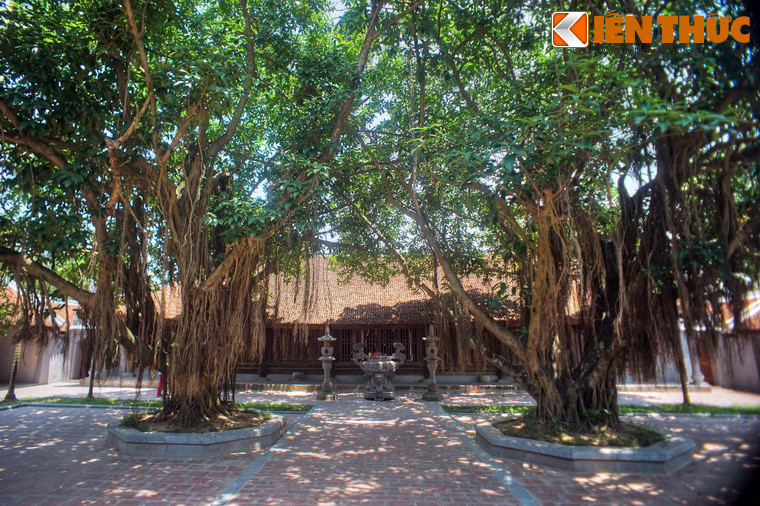 Kiến trúc tuyệt mỹ của “Thiếu Lâm Tự” nổi tiếng Việt Nam - Hình 2 Kien truc tuyet my cua “Thieu Lam Tu” noi tieng Viet Nam-Hinh-2