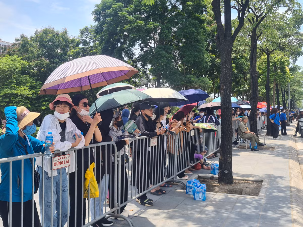 Tong Bi thu Nguyen Phu Trong ve voi dat me-Hinh-50