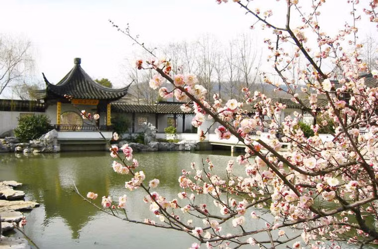  Ngay đến nền của cung thành các nhà phong thủy cũng cho rằng khi Trường Giang chảy qua Nam Kinh đã đổi hướng sang phía đông, thủy mạch đã tạo thành 1 huyệt vị tại đây. Khi lục triều định đô tại nơi này thì huyệt vị này nằm ở phía nam của núi Kê Lộng, Lưu Cơ đặt lại phong thủy đã kiến nghị để huyệt vị kết tại hồ Yến Tước phía nam của núi Phú Quý, vì thế Chu Nguyên Chương đã hạ lệnh xây cung thành trên mặt hồ Yến Tước. Ảnh minh họa: Hồ Yến Tước ở Nam Kinh. 