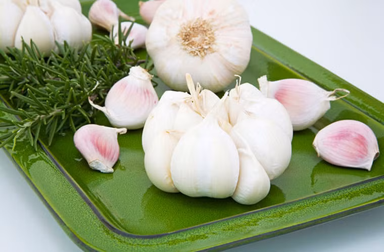  Nếu ai không có khả năng ăn tỏi sống thì có thế cho tỏi vào thực phẩm, vừa tăng thêm độ thơm ngon cho món ăn, vừa có tác dụng nâng cao khả năng miễn dịch. 