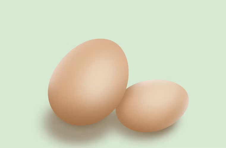 Trứng là một nguồn cung cấp protein tuyệt vời. Protein trong trứng rất toàn diện, chứa tất cả các axit amin thiết yếu cho cơ thể con người.