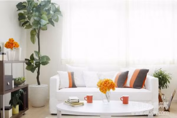 Có thể đặt cây xanh để tăng vượng khí. Hướng Tây Nam là hướng có sức sống mạnh nhất trong nhà. Bạn nên chọn những cây lá tròn, bóng, màu xanh thẫm sẽ có tác dụng sinh vượng Thái Tuế. Vị trí sinh vượng Thái Tuế sẽ làm tăng thêm sức mạnh cho Thái Tuế, Thái Tuế sẽ ân trạch giáng lâm bảo hộ cho cả nhà bạn một năm bình an. 