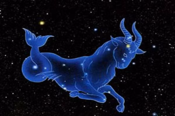  4. Đàn ông Ma Kết có nghị lực phi thường, chịu được kham khổ để thành công. Có thiên phận hay không không quan trọng chỉ cần bạn có tinh thần kiên trì, chịu được vất vả, có ý chí kiên cường, sự ắt thành. 