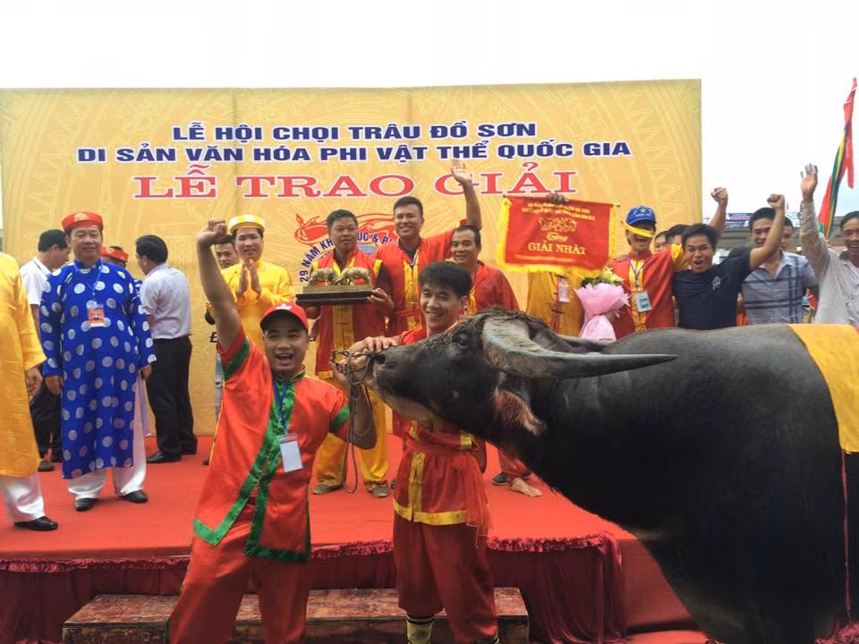 Chủ trâu số 12 – ông Đỗ Tác Thoát (phường Bàng La) ăn mừng sau khi trâu số 12 vô địch.