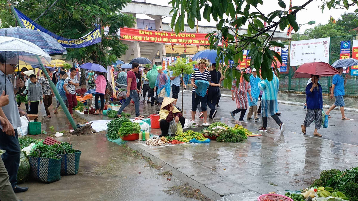 Tất nhiên, đi kèm các gian hàng bán thịt trâu chọi là các cửa hàng bán rau, nhộn nhịp đông vui như chợ. PV Kiến Thức sẽ tiếp tục cập nhật những hình ảnh về các kháp đấu tại hội chọi trâu Đồ Sơn 2018. 