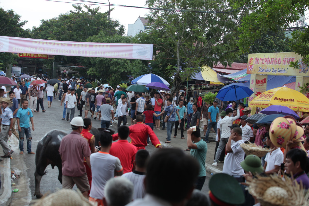 Từ sáng sớm các ngả đường dẫn đến sân vận động Đồ Sơn đều nêm chật người.