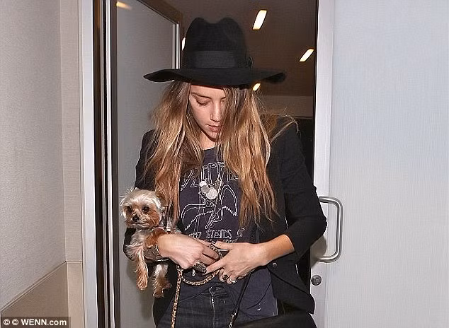 Johnny Depp va Amber Heard chia tai san sau ly hon