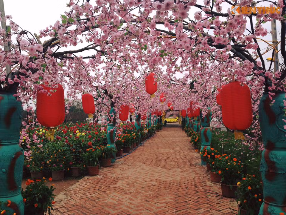 Tu diem an choi ngay Tet cua gioi tre HN vang tanh