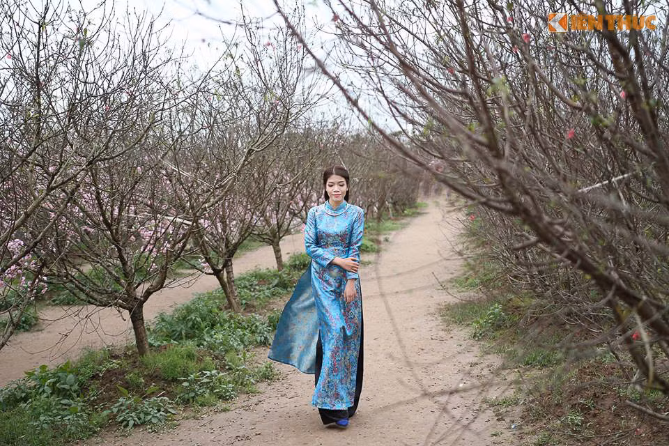 Nhiều vườn đào ở Nhật Tân vốn kinh doanh nhận khách trả phí vào chụp ảnh đến hôm nay cũng đóng cửa. Dạo một vòng quanh làng đào Nhật Tân, PV Kiến Thức ghi nhận chỉ còn lác đác một vài cô gái trẻ, tranh thủ thời gian rảnh rỗi sáng mùng 1 Tết để đến đây chụp ảnh.