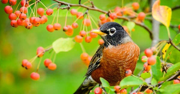 Tháng cuối cùng năm 2022, 3 con giáp sự nghiệp như ý - Hình 3 Thang cuoi cung nam 2022, 3 con giap su nghiep nhu y-Hinh-3