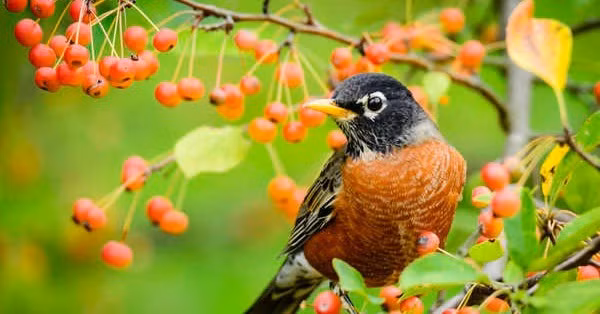 Thang cuoi cung nam 2022, 3 con giap su nghiep nhu y-Hinh-3