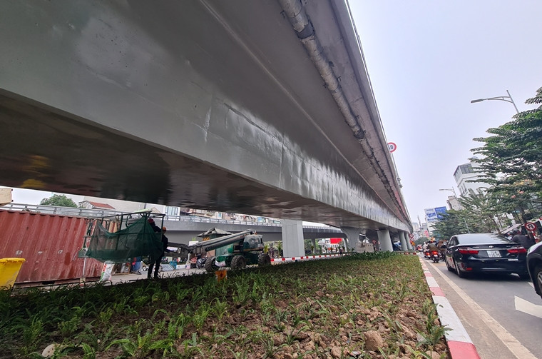 Hoa, cây cảnh được trồng mới ở dải phân cách tạo mỹ quan đô thị.