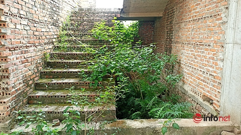 Song song đó, Sở Xây dựng thẩm định trình UBND tỉnh phê duyệt điều chỉnh dự án theo Luật Xây dựng và pháp luật có liên quan... (Ảnh: Infonet).