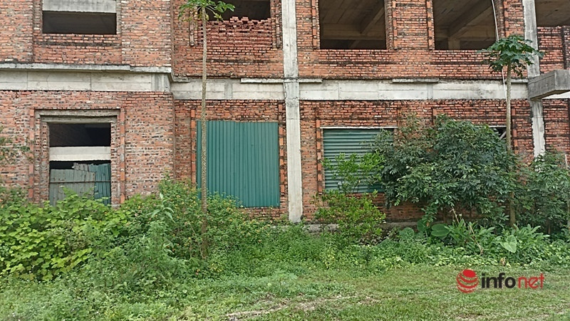 Sau đó trình UBND tỉnh để ban hành quyết định trước ngày 28/12/2022. (Ảnh: Infonet).