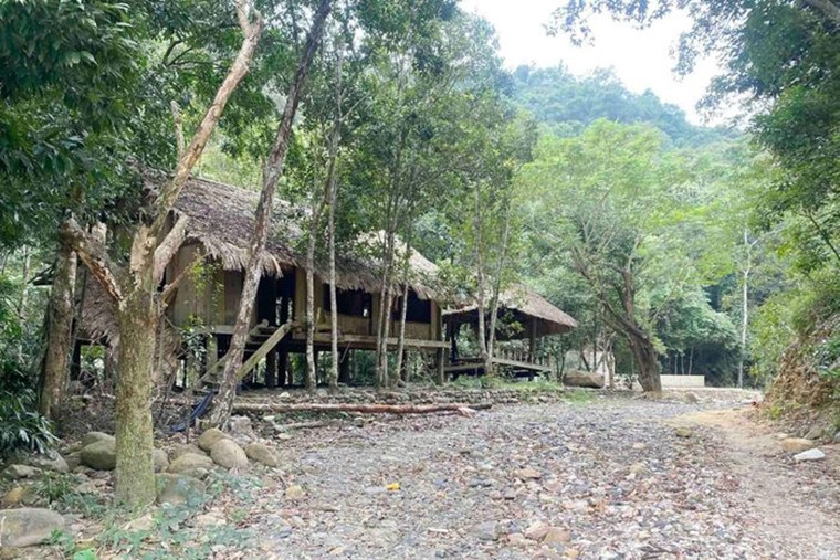 Đến ngày 11/7/2016, UBND tỉnh Quảng Ninh có quyết định thu hồi đất của Ban Quản lý di tích và rừng quốc gia Yên Tử để giao cho Công ty CP Việt Nam Tinh Hoa thuê đất theo phương thức trả tiền hàng năm. (Ảnh: Vietnamnet).