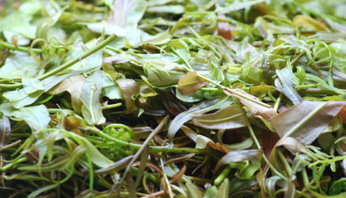 Lẩu lá rừng: Từng là một món ăn chống đói của người dân tộc Ê đê, đến nay lẩu lá rừng lại trở thành đặc sản Tây Nguyên đãi khách phương xa. Món ăn này giống như thứ canh thập cẩm với đủ các loại lá rừng, do đó ban đầu nó thường không mấy hấp dẫn du khách.