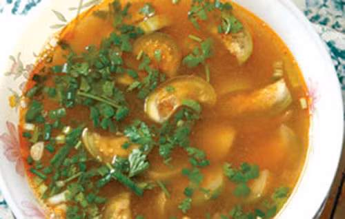 Canh cà đắng: Người dân tộc Tây Nguyên – Đắc Lắc, Đắc Nông thường dùng cà đắng chế biến món ăn trong các bữa cơm để phòng và chữa bệnh thống phong, thấp khớp hay đau nhức. Cây cà đắng mọc hoang trên nương rẫy rồi được trồng nhiều trong vườn, hầu như nhà của người Ê Đê nào cũng có trồng cà đắng.