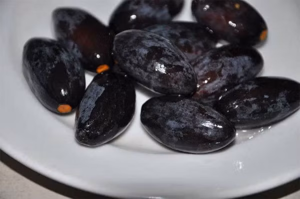 Do hợp thổ nhưỡng nên quả trám trồng ở Hà Châu rất đặc biệt: bùi, thơm, chặt thịt hơn hẳn trám được trồng ở các địa phương khác, bởi thế trám đen đã trở thành đặc sản của mảnh đất này. Đến kỳ thu hoạch, người dân hầu như không phải mang ra chợ, tư thương về đặt mua tận nhà, thậm chí còn đặt mua cả cây khi trám bắt đầu đơm quả. Nhiều người ở tận Hà Nội, Hải Phòng cũng tìm đến Hà Châu mua trám.