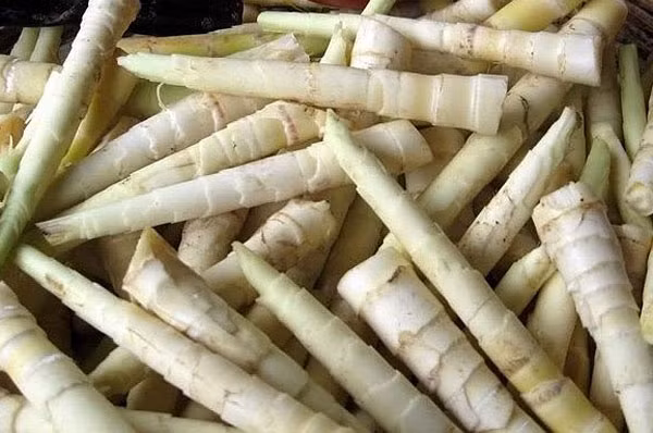 Không giống các loại măng khác, măng đắng ngàn me chỉ nhỏ cỡ bằng ngón tay người lớn. Cách chế biến đơn giản nhất là luộc măng chấm với muối ớt hoặc mắm tôm chanh. Nếu không muốn ăn luộc có thể chế biến măng thành nhiều món: xào, nấu canh… mỗi món ăn lại có một vị hấp dẫn riêng.