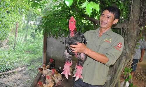 .Ông Phan Văn Miền.