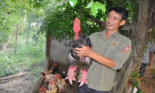 .Ông Phan Văn Miền.