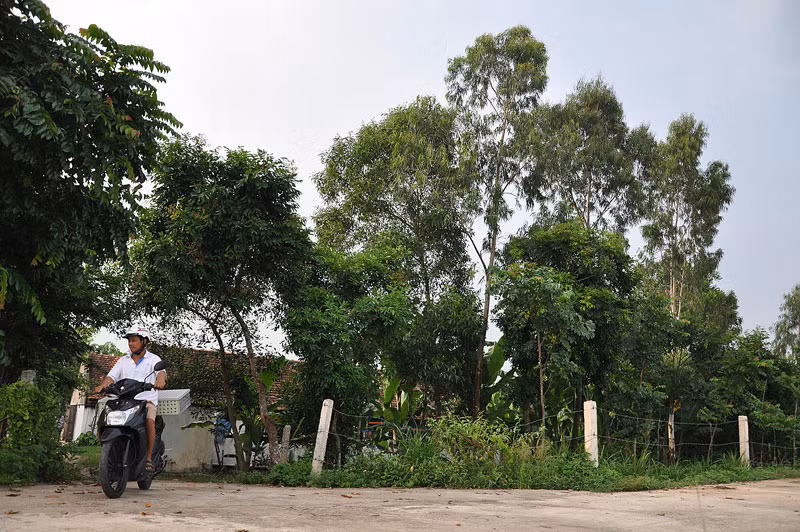 Trên diện tích hơn 3ha đất từng một thời hoang vu, gia đình ông Phan Văn Miền đã khai hoang, xây dựng thành một “siêu trang trại” cho thu nhập tiền tỷ mỗi năm.