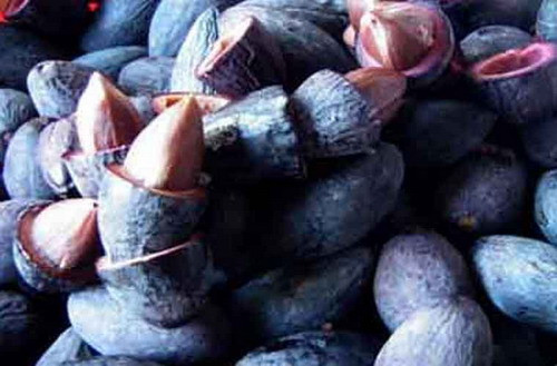 4. Trám Hà Châu. Hà Châu là một xã của huyện Phú Bình Thái Nguyên, cách Thái Nguyên 30km về hướng Nam. Nơi đây nổi tiếng với các sản vật thiên nhiên như măng tre, trám rừng bên cạnh đó là các loại rau củ quả được trồng khá nhiều. Trong các sản vật thiên nhiên ban tặng cho người dân Phú Bình thì trám đen một trong những đặc sản nổi tiếng của mảnh đất Hà Châu.