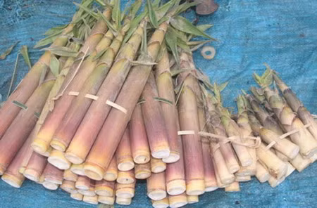 6. Măng đắng ngàn me. Người dân TP.Thái Nguyên thường gọi món măng này là măng Ngàn Me bởi nó được lấy từ rừng Ngàn Me về. Măng đắng được bày bán khá nhiều ở chợ Chùa Hang, Đồng Hỷ và dọc Quốc lộ 1B đoạn qua cầu Gia Bẩy.