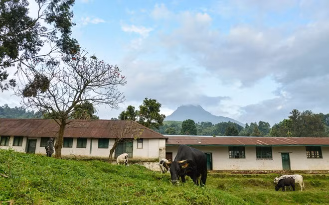Mali: Các phần tử Hồi giáo cực đoan đang kiểm soát miền Bắc Mali và nhiều công trình cổ của quốc gia Tây Phi này. Hồi tháng Ba, một vụ tấn công khủng bố đã diễn ra tại nhà hàng La Terrasse thuộc thủ đô Bamako khiến 5 người chết, trong đó có 2 người châu Âu, và 9 người khác bị thương.
