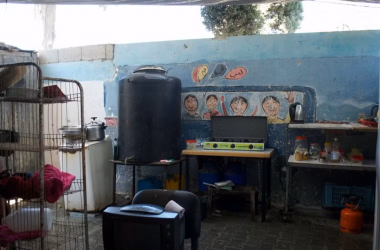 Zahra Hamad, mẹ của 9 đứa trẻ đã mang cả gia đình tới sống trên vỉa hè chật hẹp của 1 cửa hàng, cạnh ngôi trường của Liên Hiệp Quốc đã bị oanh tạc trong cuộc tấn công. “Căn nhà” không có mái che, làm người phụ nữ và chồng lo lắng khi mùa đông tới.