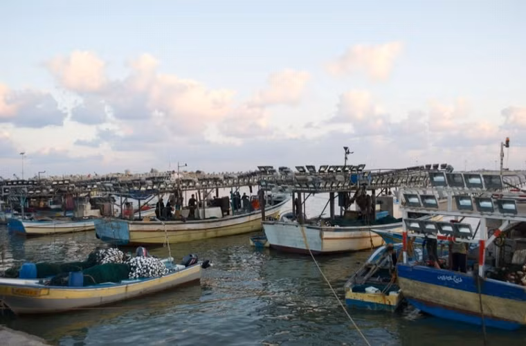 Tàu đánh cá đậu ở bến vào sáng sớm để bán những hải sản đánh bắt được vào đêm trước đó.