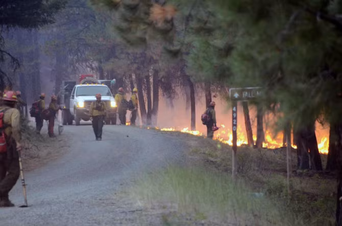 Hinh anh chay rung du doi o mien tay bac nuoc My-Hinh-7