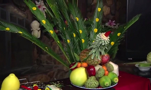 Video tu van xep mam ngu qua hinh con cong