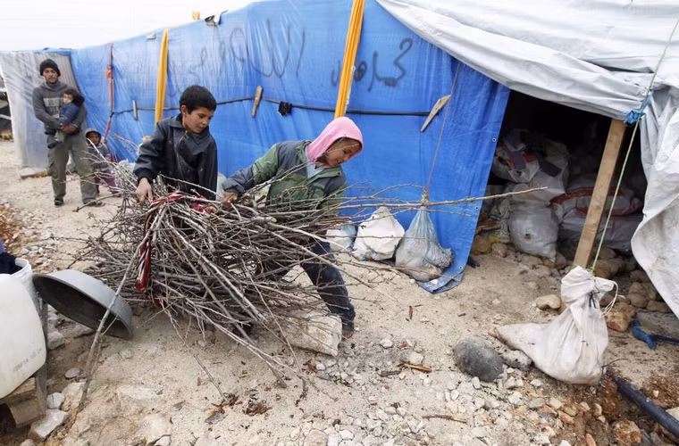 Những cậu bé tị nạn người Syria mang củi vào lều để đốt sưởi ấm trong 1 khu định cư tạm thời ở thành phố Bar Elias, trong thung lũng Bekaa, Lebanon ngày 5/1/2015. 