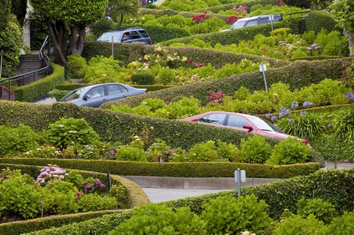 Lombard Street ở San Franciso (Mỹ) với những khúc quanh co uốn lượn được mệnh danh là con đường quanh co nhất thế giới.