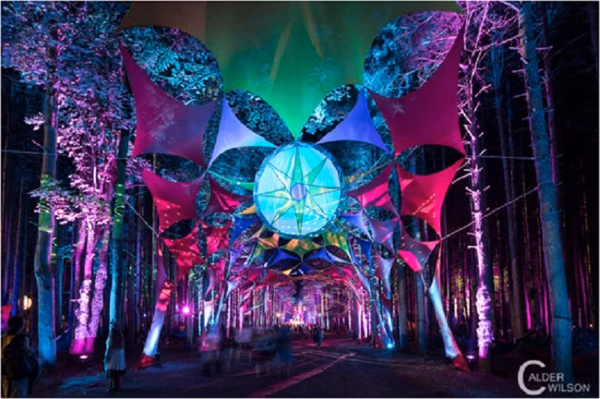 Liên hoan âm nhạc Electric Forest, Michigan. Tiêu điểm của lễ hội là các ban nhạc điện tử (electronica bands) và các ban nhạc ứng tấu (jam bands). Rừng cây xung quanh hòa quyện cùng với những tia sáng laser bắt mắt đã tạo ra một trải nghiệm siêu thực, hoang dã.