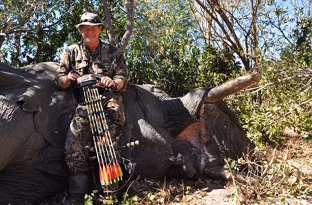 Bac si khoe tren mang “chien tich” giet dong vat hoang da-Hinh-9