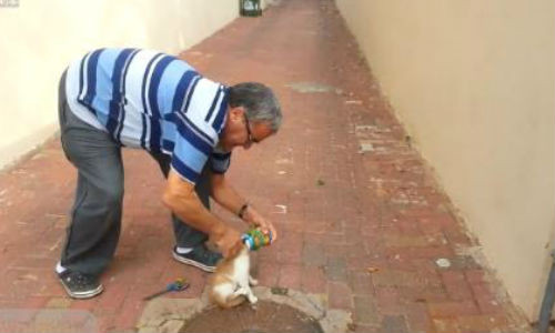 Giai cuu meo bi ket dau trong lon nuoc ngot