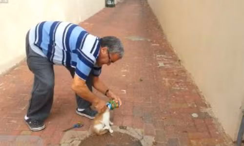 Giai cuu meo bi ket dau trong lon nuoc ngot