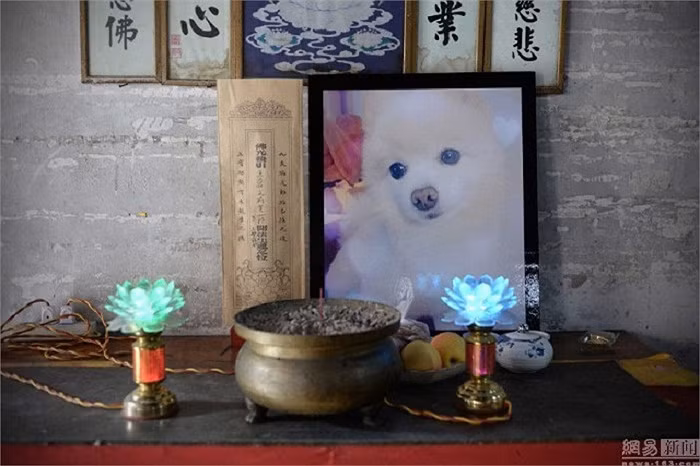 Thậm chí còn có di ảnh.